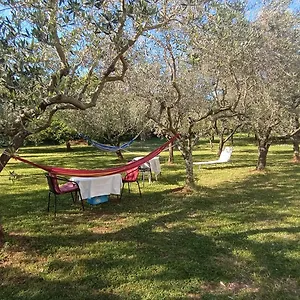 Gabriela Appartement Poreč